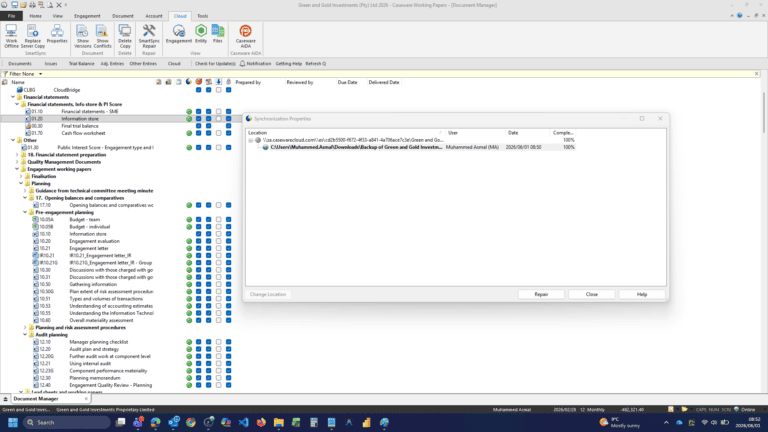 Caseware Working Papers for Audit and Financial Reporting Software