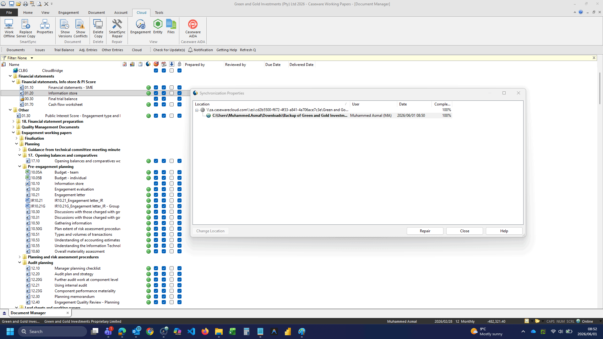 Caseware Working Papers for Audit and Financial Reporting Software